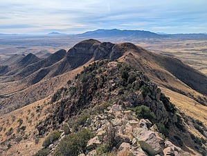 feature photo