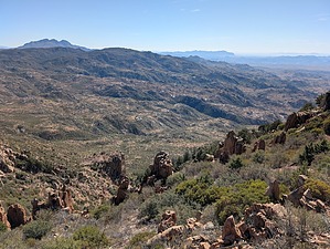 feature photo