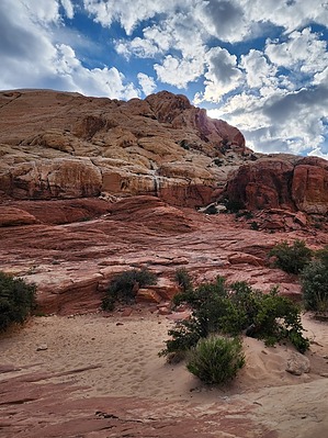feature photo