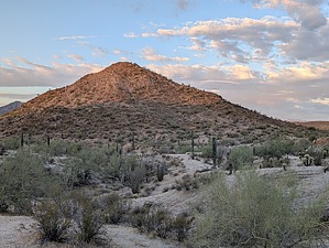 feature photo