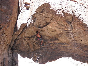 feature photo