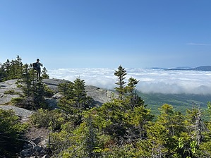 feature photo