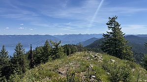 feature photo