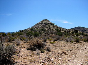 feature photo