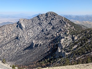 feature photo