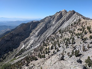 feature photo