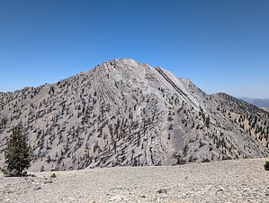 feature photo