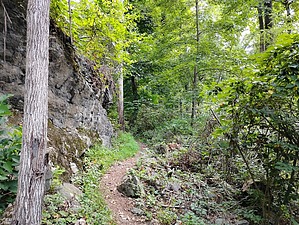 feature photo