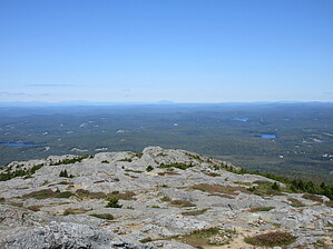 feature photo