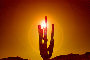 feature photo