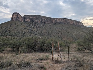 feature photo