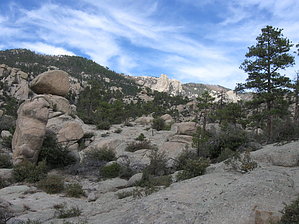 feature photo