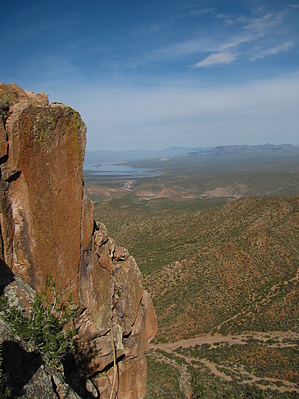 feature photo