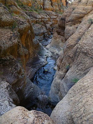 feature photo