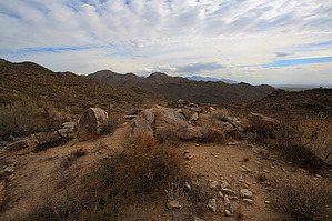 feature photo