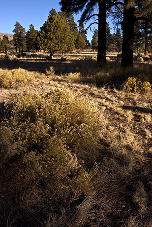 feature photo