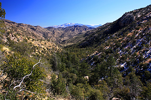 feature photo