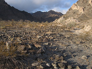 feature photo