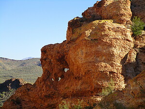 feature photo