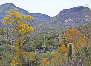 feature photo