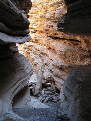 feature photo