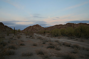 feature photo