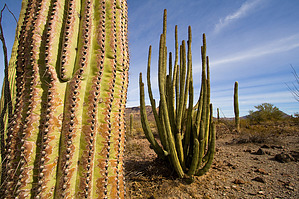 feature photo