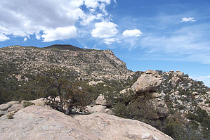 feature photo