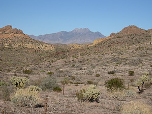 feature photo
