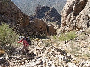 feature photo