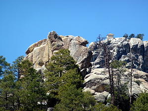 feature photo