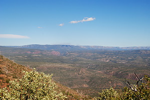 feature photo