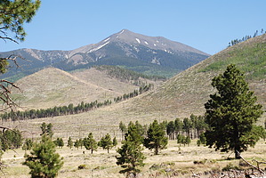 feature photo