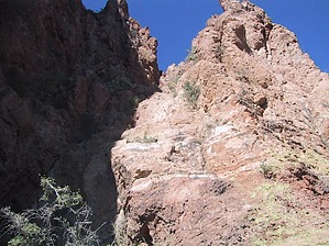 feature photo