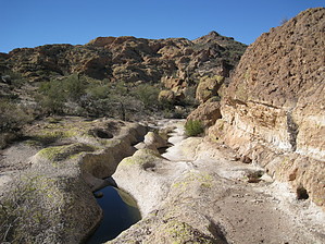 feature photo