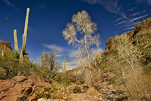 feature photo