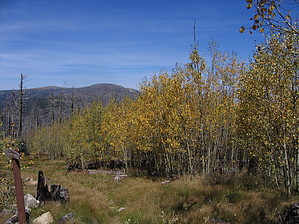 feature photo