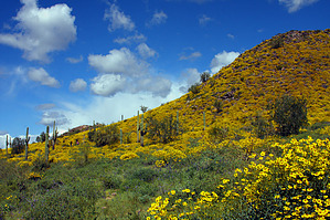 feature photo