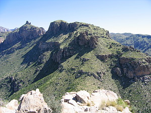 feature photo