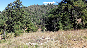 feature photo