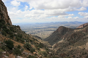 feature photo