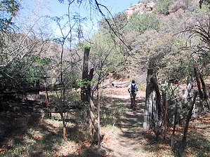feature photo