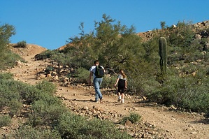 feature photo