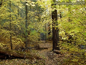 feature photo