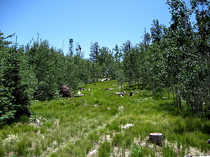 feature photo