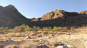 feature photo