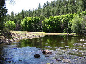 feature photo