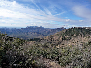 feature photo