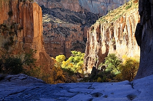 Aravaipa Canyon Wilderness Get 7 Az Hikearizona