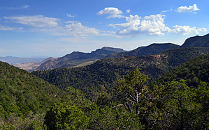 feature photo